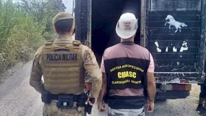 Polícia Militar da início à Operação Quaresma contra a Farra do Boi