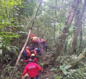 Homem desaparecido é encontrado morto em área de mata em Pomerode
