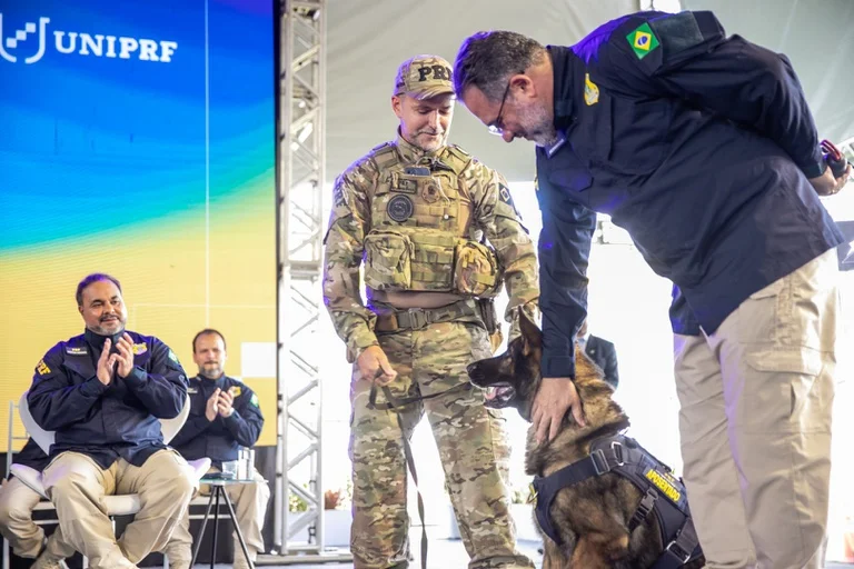 354f7db3 F157 45c9 8f6c 988b0eff350b