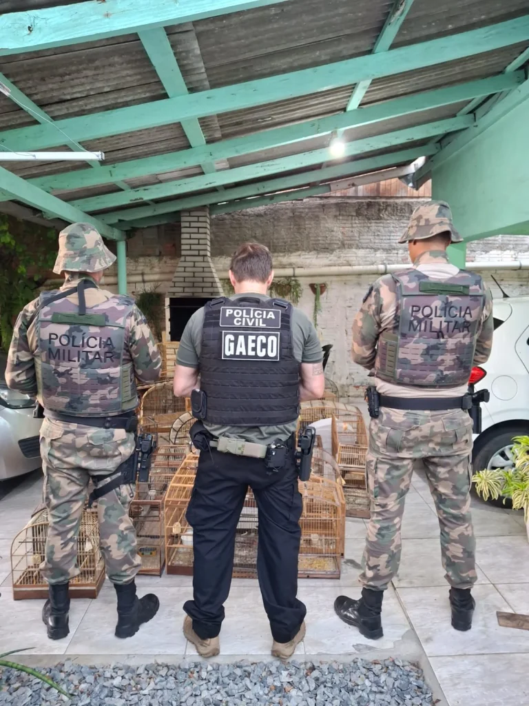 55126342186 Af6220c75d O