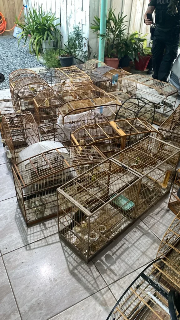 55126530513 D53e872b8b O