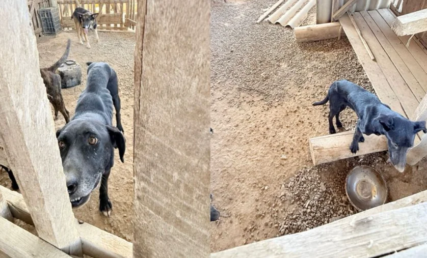 Captura De Tela 2026 03 03 182106