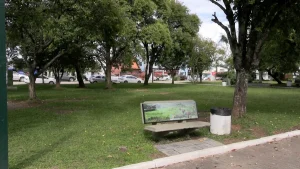 Dia da Mulher em Bom Retiro vai ter programação especial, na praça