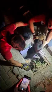 Jr 0210 B7.00 02 38 10.quadro030