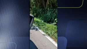 Empresa pinta faixas em rodovia sobre sujeira, no Vale Oeste