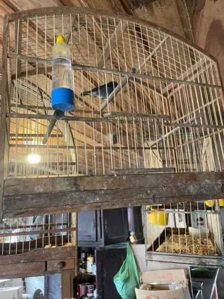 RelatÓrio De Imprensa Do Dia 18 De Março Para 19 Março De 2026.pdf Image 003