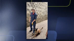 Santa Catarina realiza maior edição de Simulado de Desastres