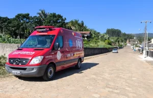 Idoso é encontrado morto com centenas de picadas de abelhas em José Boiteux