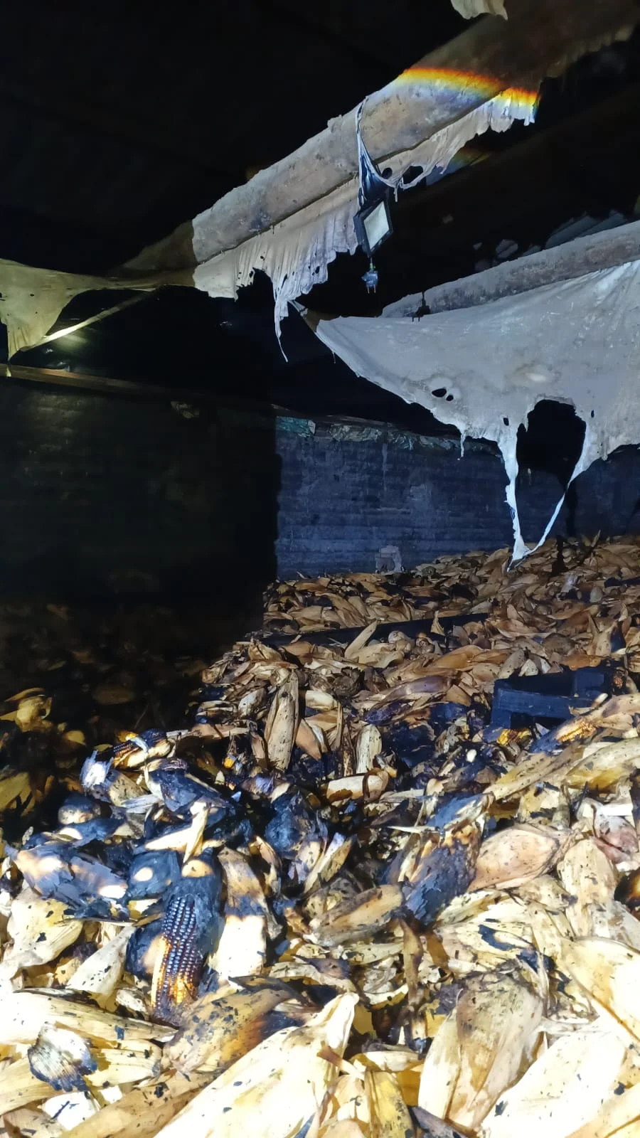 Whatsapp Image 2026 03 05 At 05.03.07