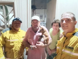 Bombeiros resgatam cachorro que caiu em ribanceira de 30 metros em Bom Retiro