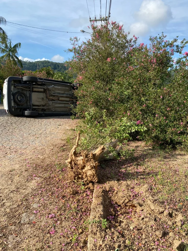 Whatsapp Image 2026 03 06 At 14.45.50