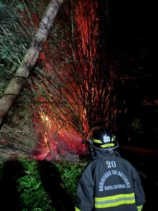 Incêndio atinge bambuzal em Apiúna