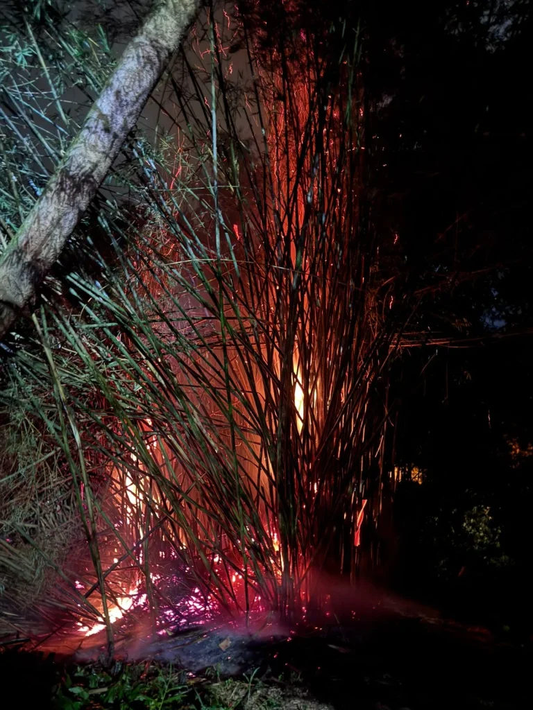 Whatsapp Image 2026 03 08 At 23.59.35