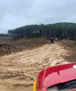 Homem é resgatado após ser atingido por árvore em área de difícil acesso em Pouso Redondo