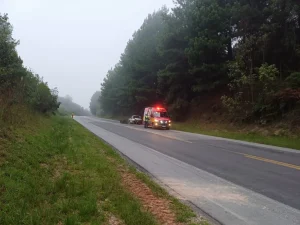 Motorista perde controle e bate em árvore na BR-282 em Bom Retiro