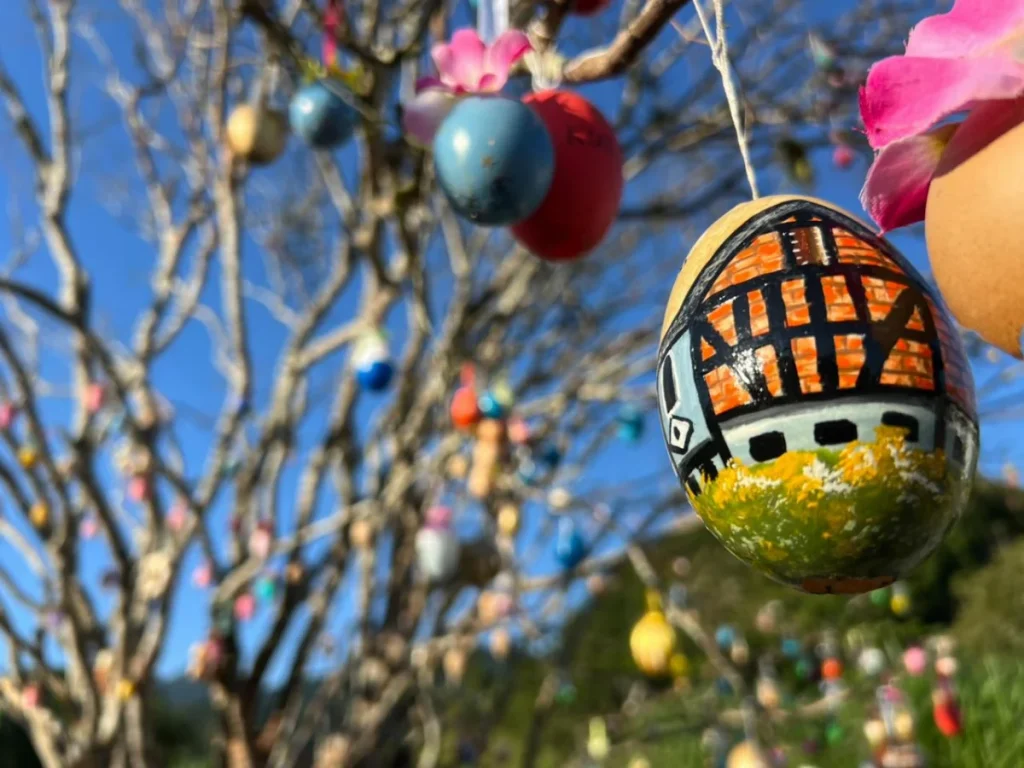 Whatsapp Image 2026 03 17 At 14.41.32