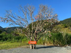 Comunidade une esforços para colorir bairro histórico de Pomerode na Páscoa