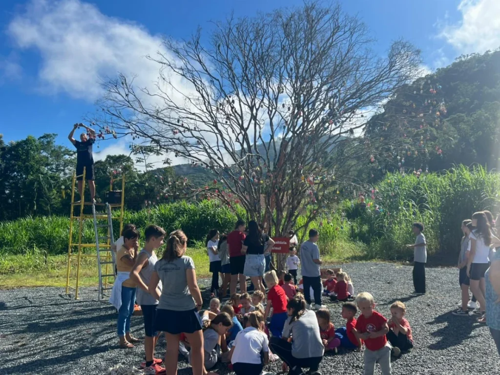 Whatsapp Image 2026 03 17 At 14.41.34