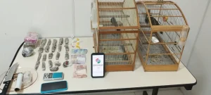 Homem é preso por tráfico de drogas e crime ambiental após tentar fugir da polícia