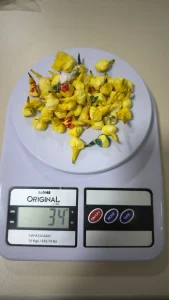 Ação da PM termina com apreensão de drogas e fuga de suspeito na BR-470 em  Ibirama