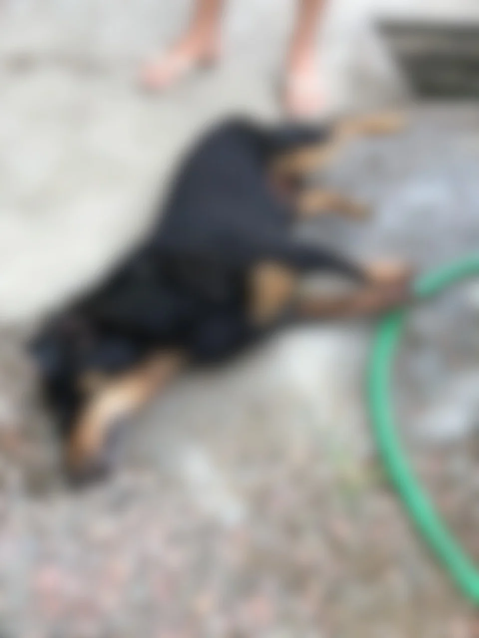 Whatsapp Image 2026 03 27 At 14.57.23