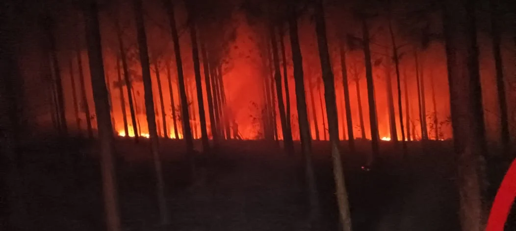 Whatsapp Image 2026 03 30 At 08.22.17