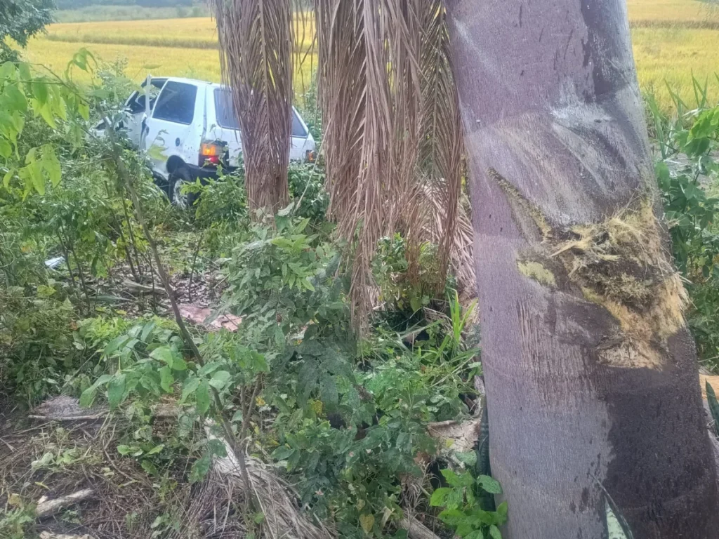 Whatsapp Image 2026 03 30 At 17.01.14