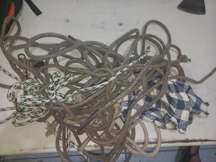 Whatsapp Image 2026 03 31 At 11.09.50