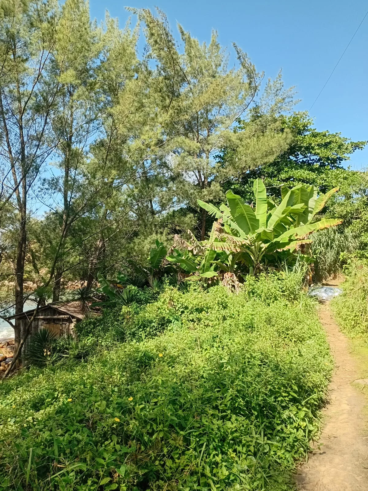 Whatsapp Image 2026 03 31 At 17.38.45