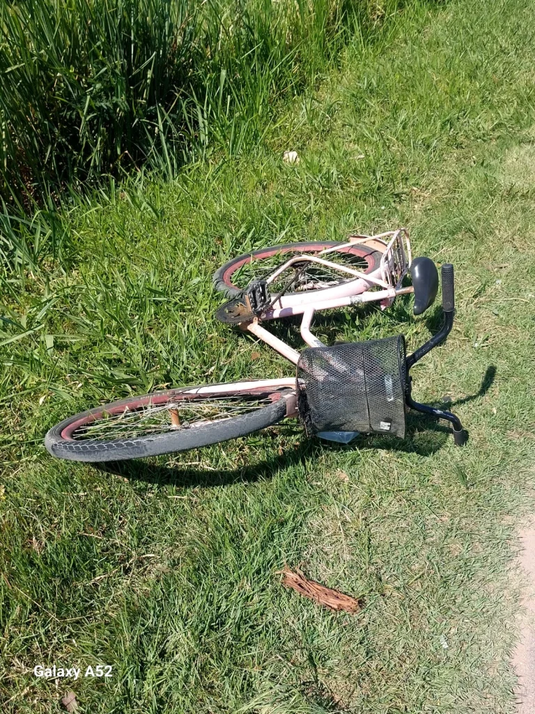 Ce35492d 3d8c 47c0 Acfe D16070d64af1