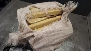 Polícia Militar apreende mais de 25 kg de maconha