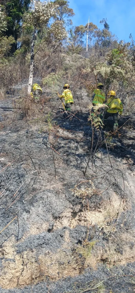 0761441b F19a 43e3 B88c 005e28f00bfa