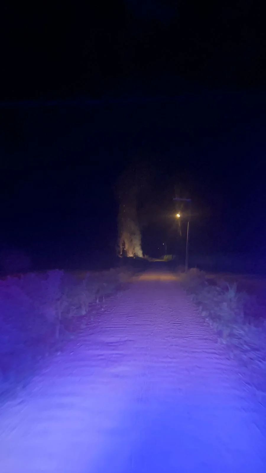 08729eed 834b 4e33 8a22 Cad297a14812