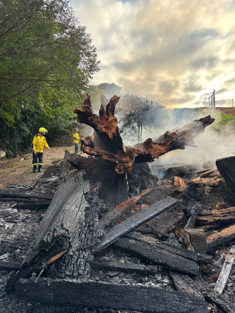 0a260083 1ff2 4696 B7cb E8fa841cc6dc