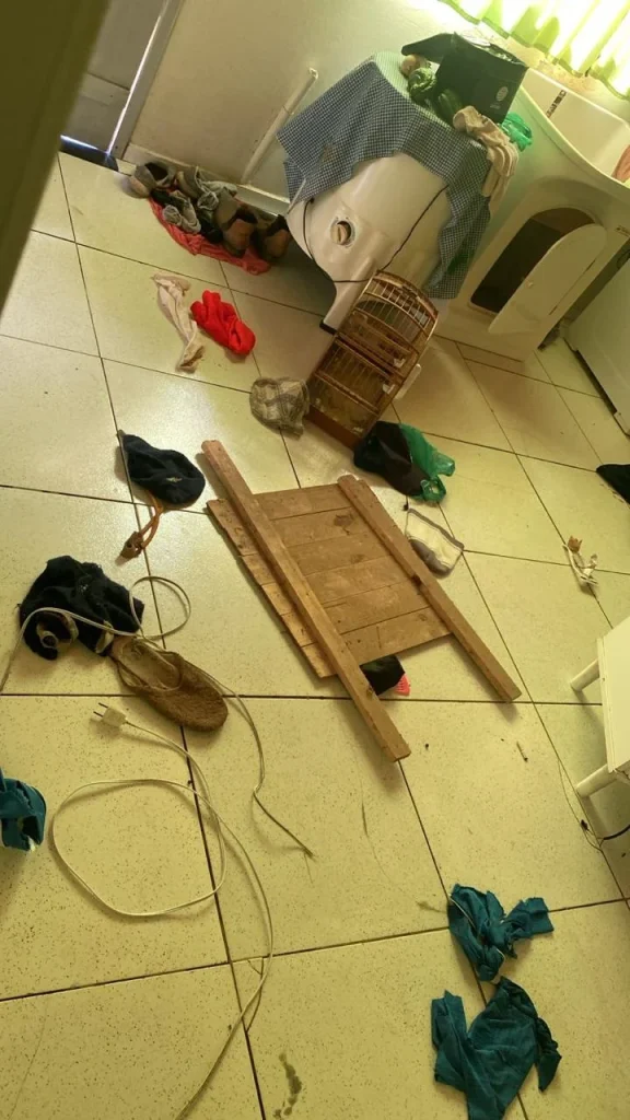 3e5311fe 4310 4936 8a09 596d5c0a6598