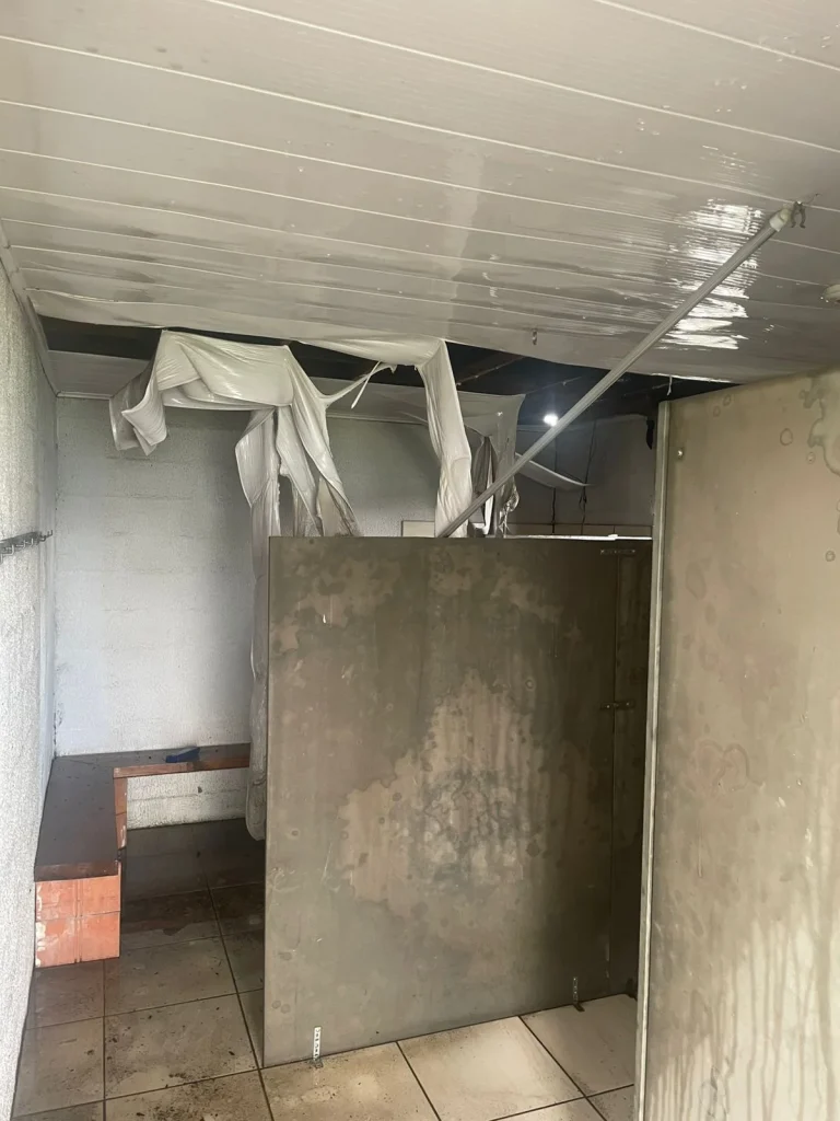 4b93cfbe 52cf 493b Abc2 Dadf49d0a701