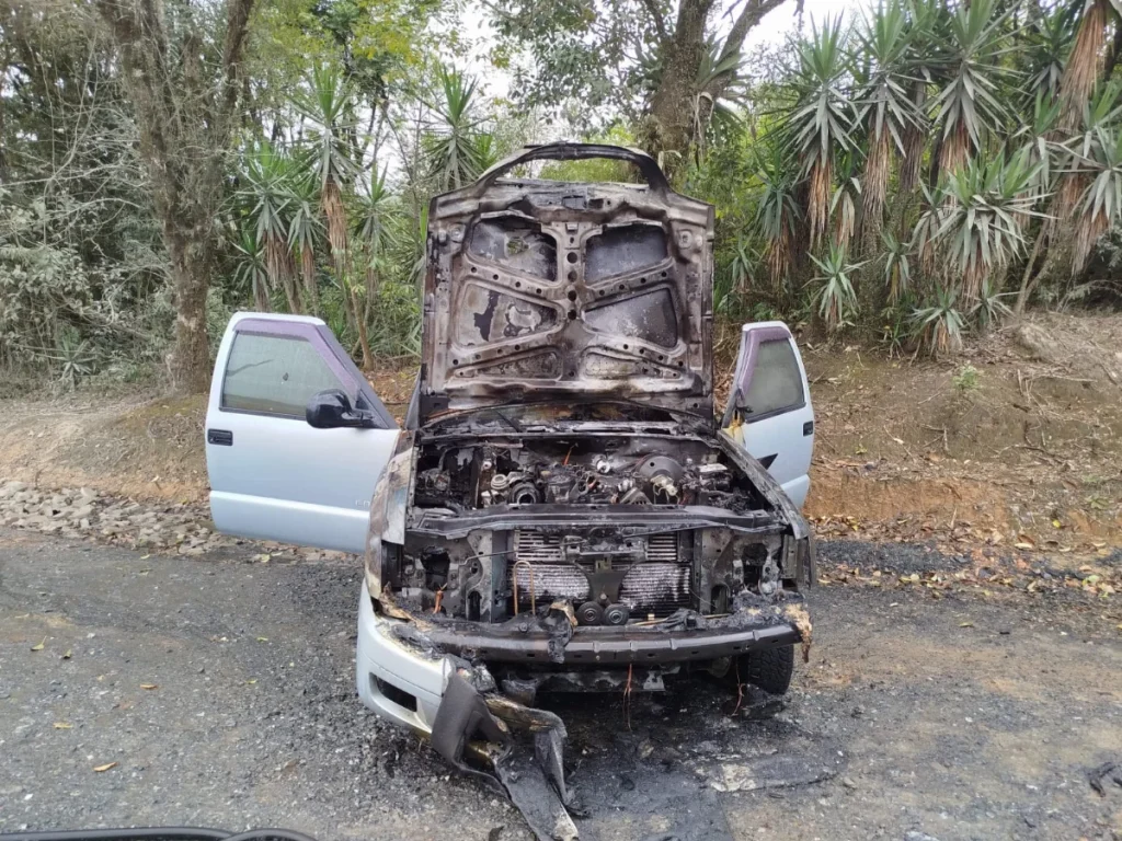 8cf966b0 D7f9 486d Beb2 Ba7308385b14