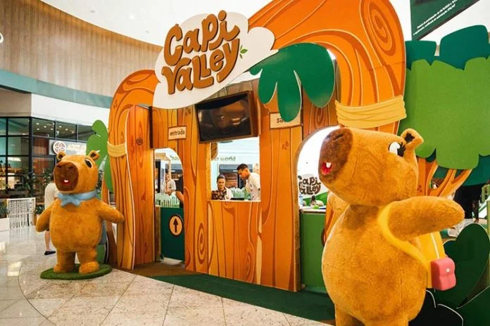 Capivalley Norte Shopping Bnu 2 04 26 02 696x464 (1)