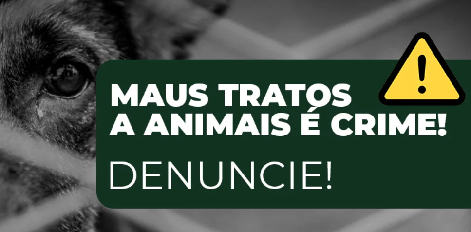 Captura De Tela 2026 04 13 204849