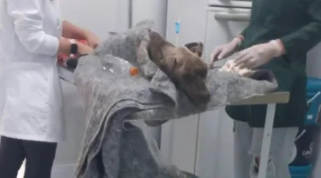 Captura De Tela 2026 04 17 224908