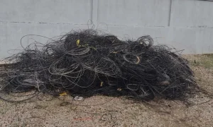 Operação Limpa Fios retira mais de 250 quilos de cabos e alcança 105 postes em Rio do Sul
