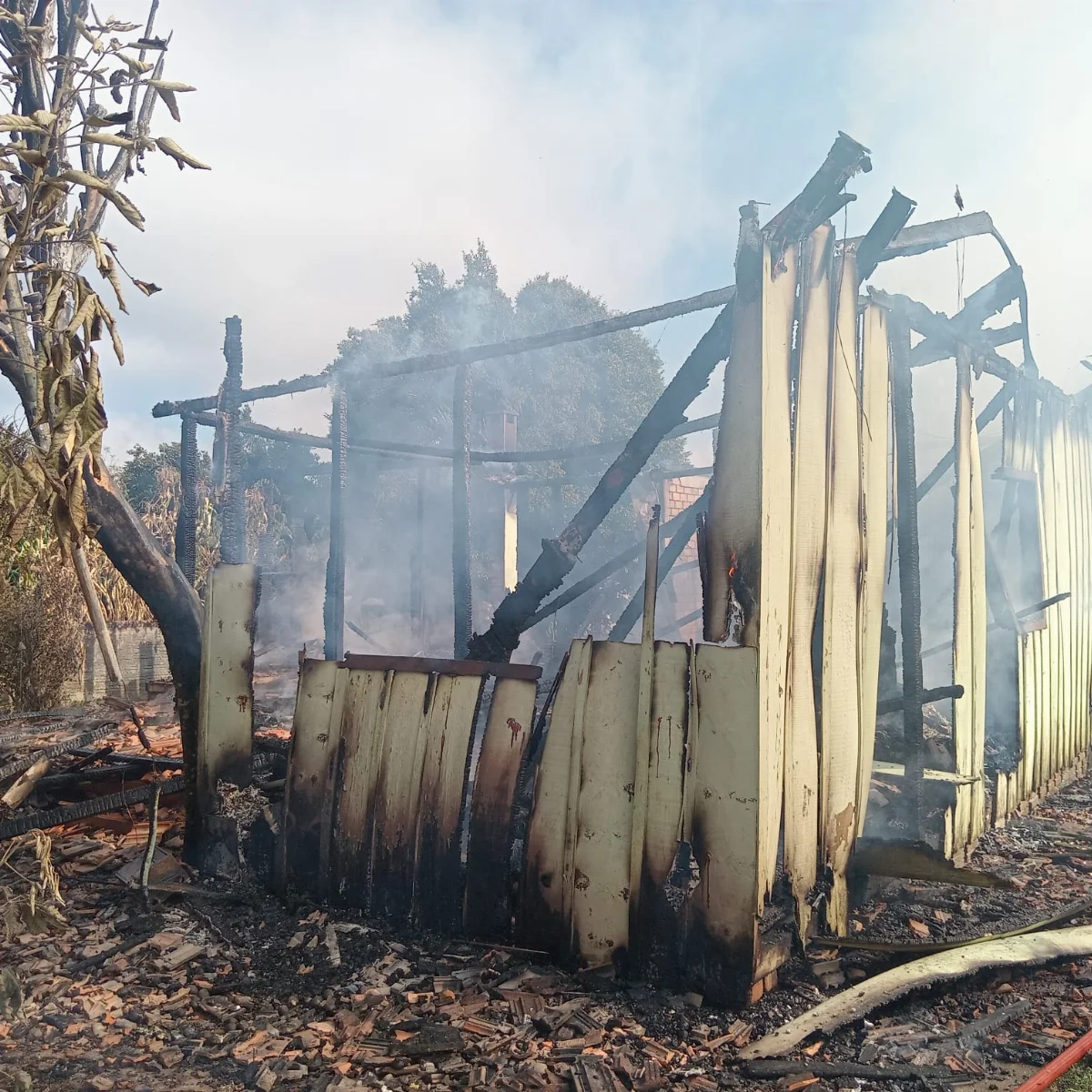 Img 20260403 Wa0031.jpg