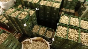 Jr 0210 B7.00 04 45 13.quadro039