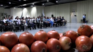 Prefeitos se reúnem em Ituporanga durante a Festa da Cebola 🧅