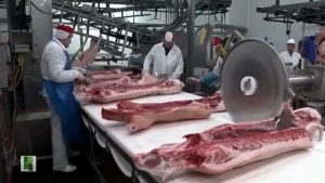 Mercado externo puxa alta da carne