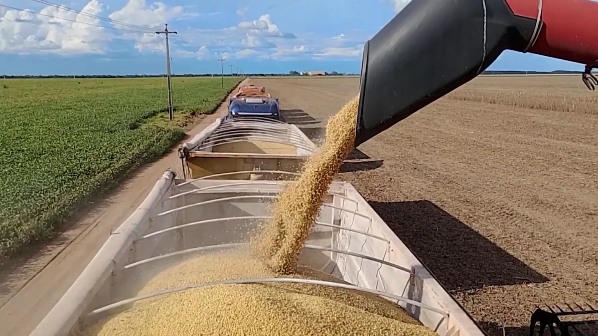 Jr 0210 B7.00 20 33 17.quadro034