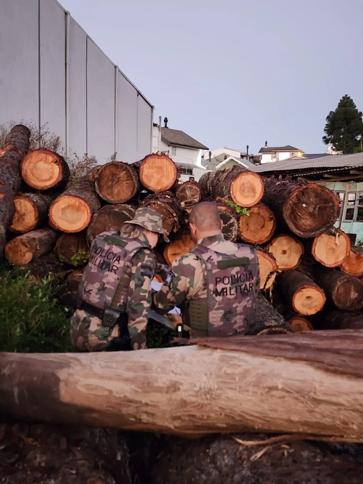 Operação Pinóquio (2)