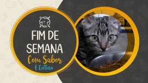 A chuva até mudou alguns planos em Rio do Sul, mas não tirou as boas opções do fim de semana!