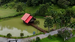 Turismo rural que encanta do começo ao fim 🍓