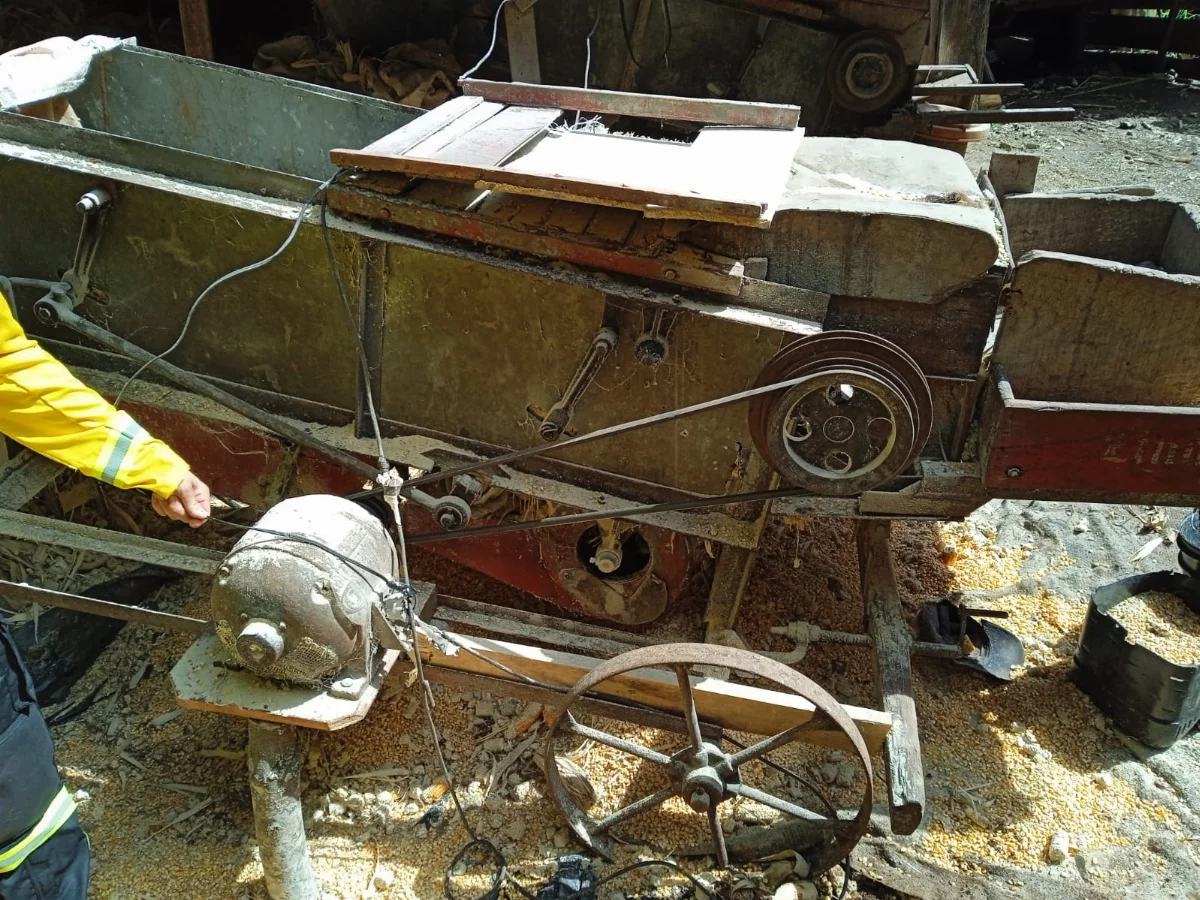 Whatsapp Image 2026 03 31 At 15.08.38